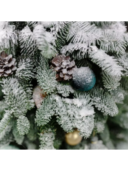 9e6ffc7e-f35a-4f2b-9574-a605e5d5ebfa