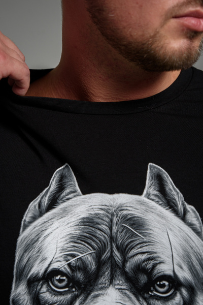 5ed134e3-2612-4e86-9bd5-7a6b6a582099